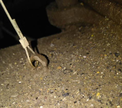 1601177461601119.png 17.png